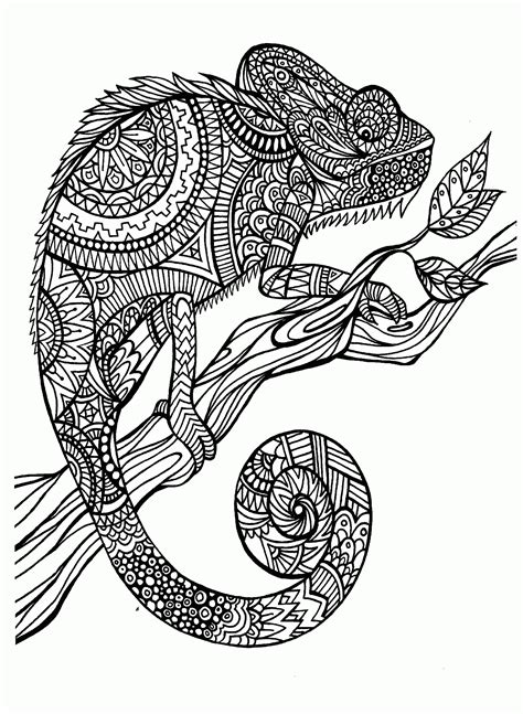 Animals Adult Coloring Pages