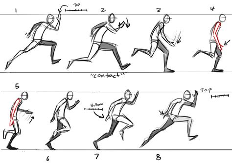 Animation reference