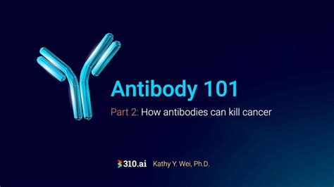 Antibodies 101