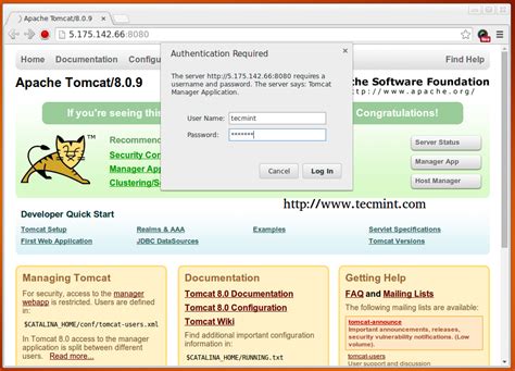 Apache Tomcat Admin Console