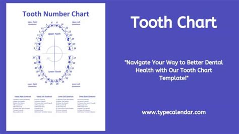 Applications of Tooth Charts