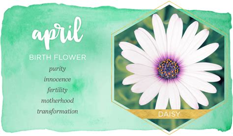 April birth flower tattoo ideas