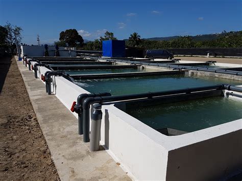 Aquaculture system designed by an ocean engineer