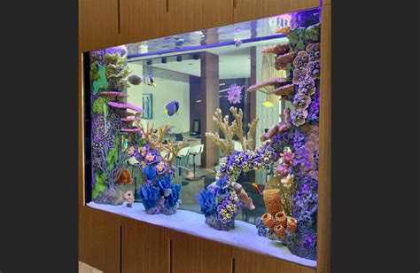 Aquarium Tank