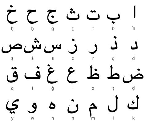 Arabic is the official language of Iraq and is widely spoken throughout the country