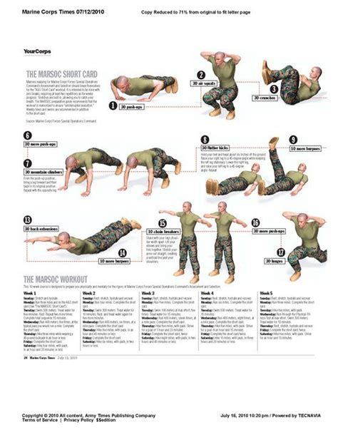 Army Basic Training Combat Training Exercises