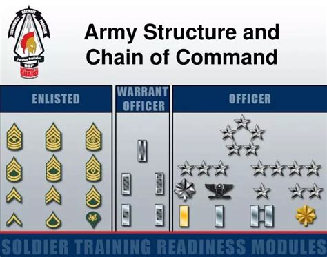 Army Chain of Command Diagram