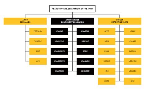 Army Chain of Command Hierarchy