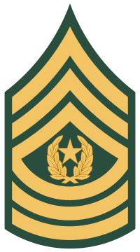 Army Command Sergeant Major Insignia