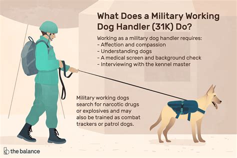 Army Dog Handler Career Advancement Tips