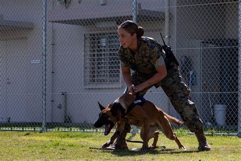 Army Dog Handler Career Path