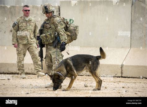 Army Dog Handler Explosives Detection