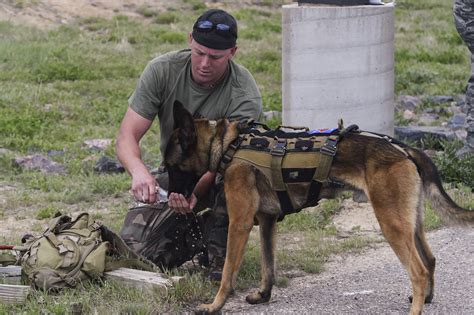 Army Dog Handler in Action