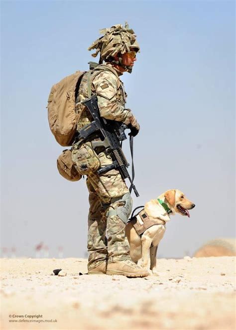 Army Dog Handler Patrol Duties