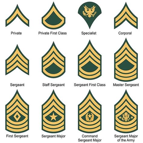 US Army Enlisted Ranks Structure