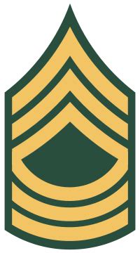 US Army Master Sergeant Rank