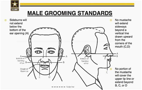 Army Facial Hair Guidelines