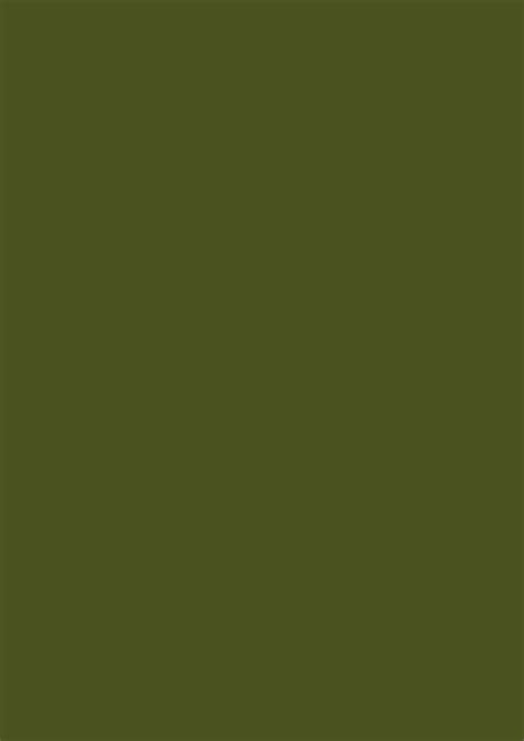 Army Green with Neutral Colors