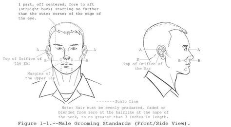 Army Hair Length Guidelines