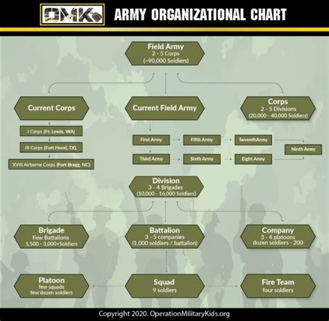 Organization of Army Infantry Units