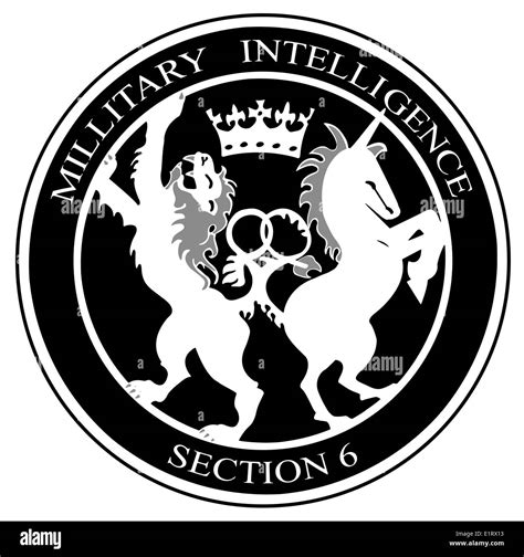 Army Military Intelligence Image 6