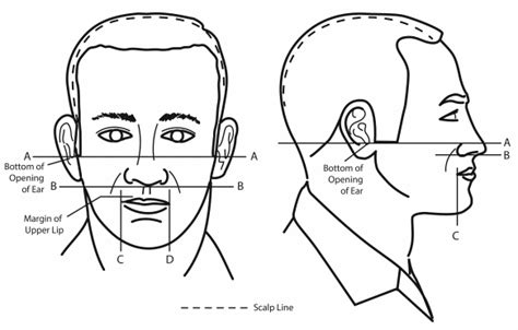 Army Mustache Regulations