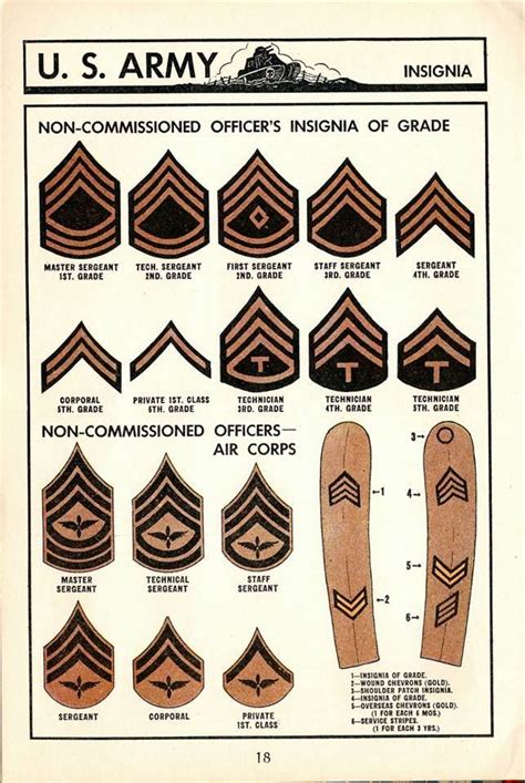 Army Non-Commissioned Officer Ranks