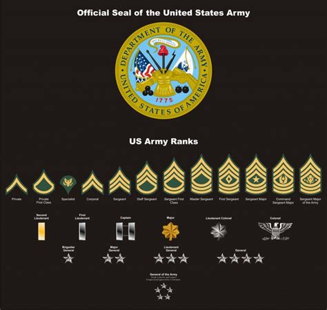 Army Officer Insignia Design