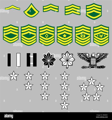 Army Officer Insignia Gallery 2