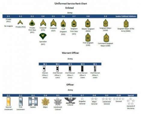 Army Reserve Rank Structure