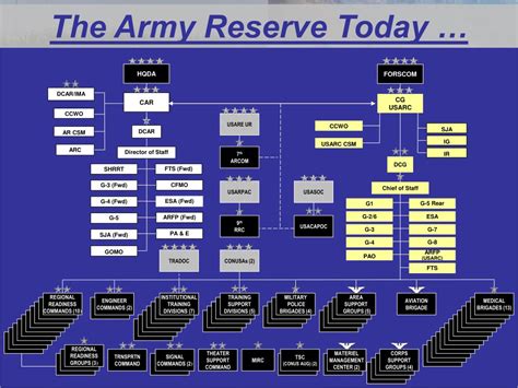 Army Reserve unit structure and organization