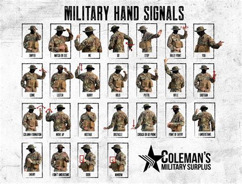 Army Signals