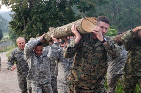 Army Teamwork Training