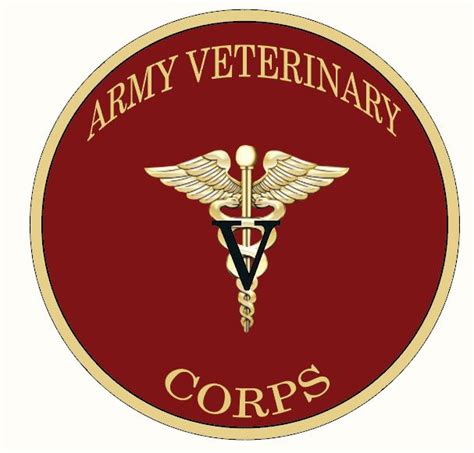 Army veterinary corps