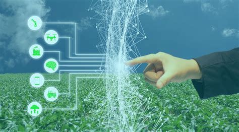 Artificial intelligence in agriculture