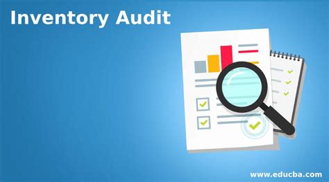 Asset audit and inventory management