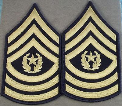 ASU Rank Insignia