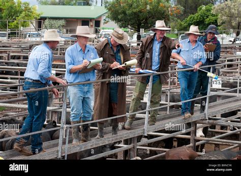 Auctioneer at Work