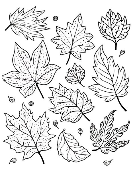 Autumn Leaves Coloring Page