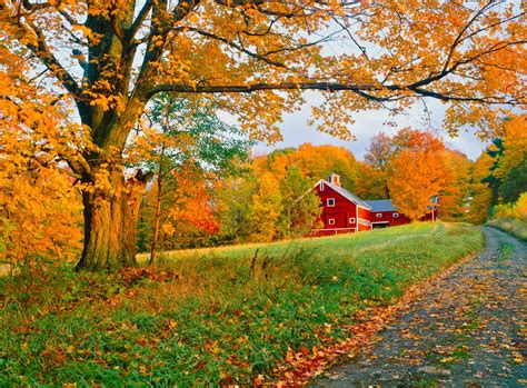 Autumn landscape