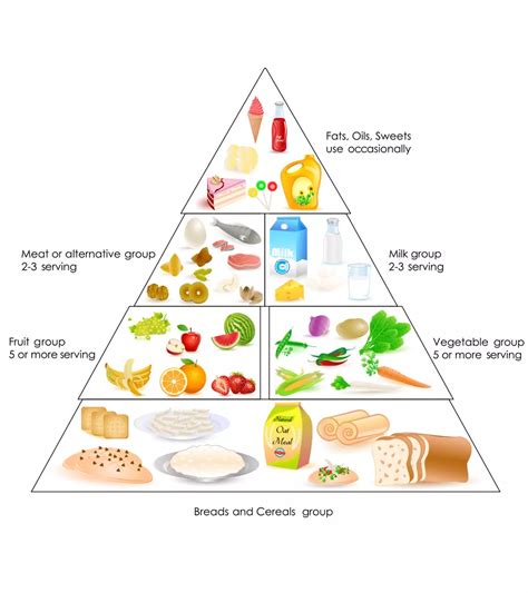 Balanced Diet for Cows