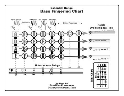 BAS Chart