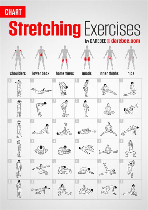 Basic Training Exercises and Drills