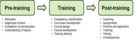 The Basic Training Process