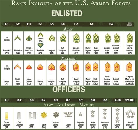 Basic Training Ranks