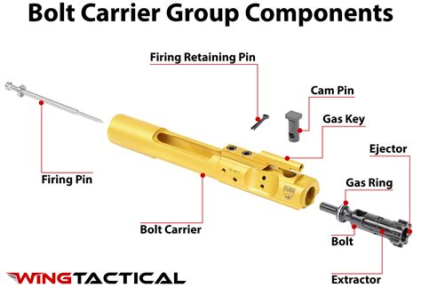 BCG Components