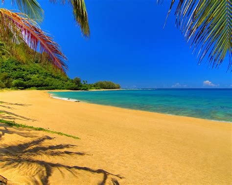 Beach Scene Coloring Page