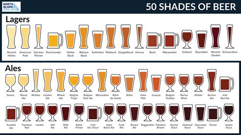 Beer Styles and Flavor Profiles