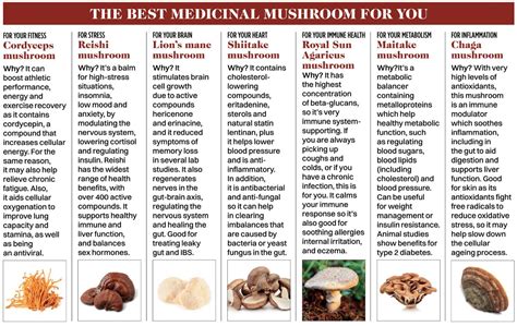 Benefits of attending mushroom events